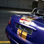 Franca Sozzani MINI Roadster for Life Ball 2012