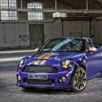 Franca Sozzani MINI Roadster for Life Ball 2012